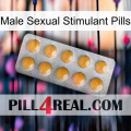 Male Sexual Stimulant Pills levitra1